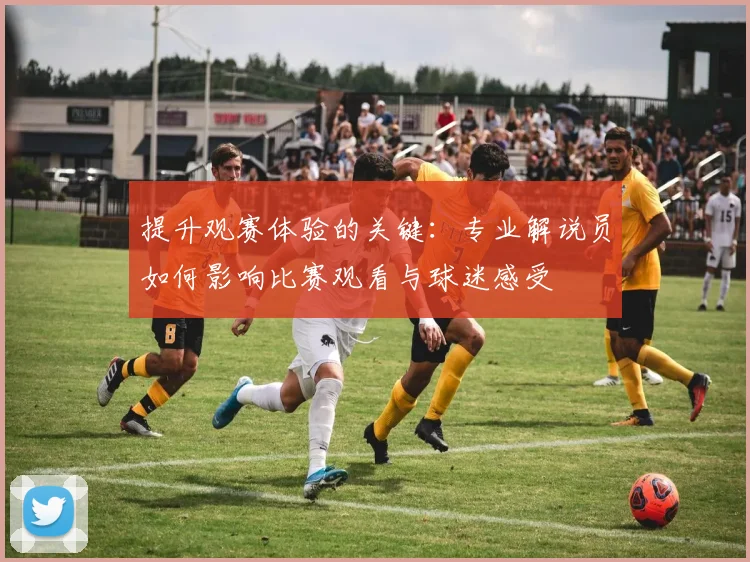提升观赛体验的关键:专业解说员如何影响比赛观看与球迷感受